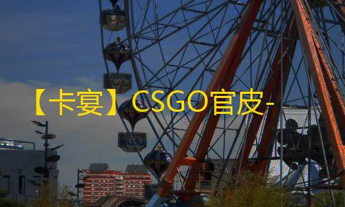 【卡宴】CSGO官皮-辅助