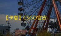 【卡宴】CSGO官皮-辅助
