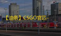 【油条】CSGO官匹-辅助