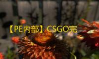 【PE内部】CSGO完美-辅助