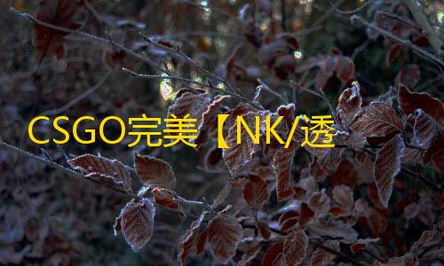 CSGO完美【NK/透饰/梓喵/仅支持完美平台】辅助