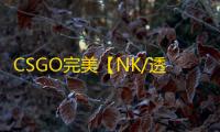 CSGO完美【NK/透饰/梓喵/仅支持完美平台】辅助