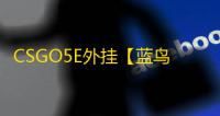 CSGO5E外挂【蓝鸟/透饰/梓喵/雷达仅支持5E】辅助