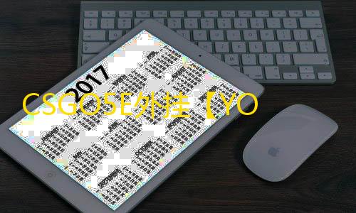 CSGO5E外挂【YOU/透饰/梓喵/焕肤/仅支持5E】辅助